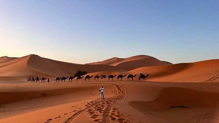 Camel caravan silhouetted against the sunset over the dunes of Erg Chebbi